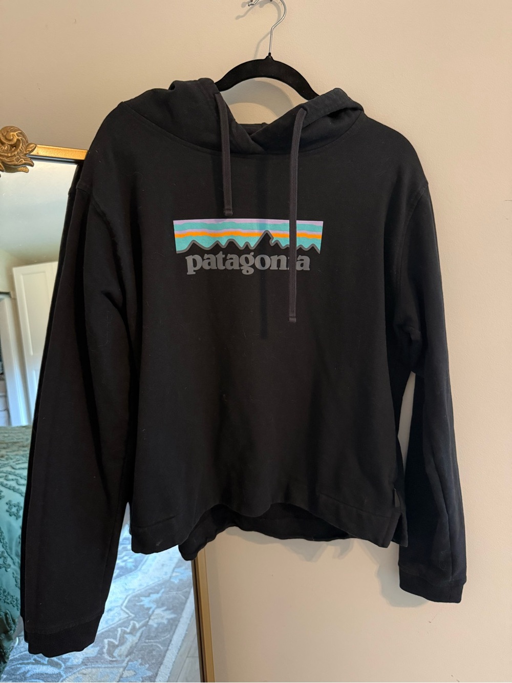 Patagonia Women’s Black Hoodie Sweatshirt with Multicolor Logo